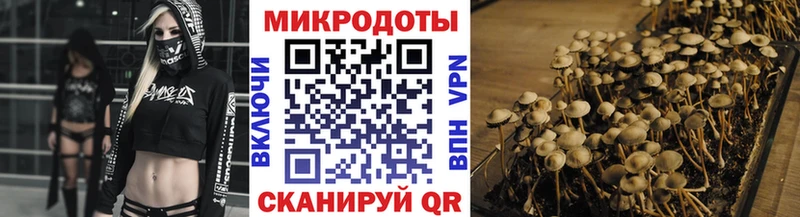 Галлюциногенные грибы мицелий  Туринск 
